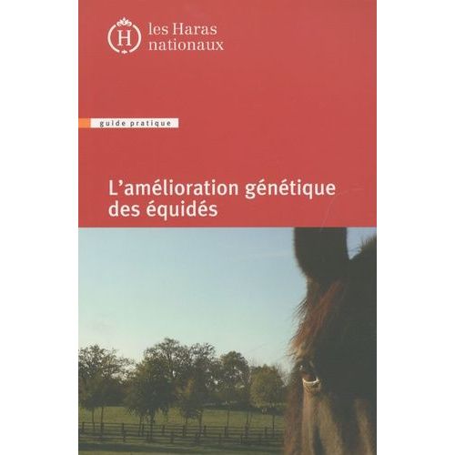 L'amélioration Génétique Des Équidés