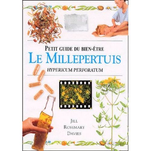 Le Millepertuis - Hypericum Perforatum