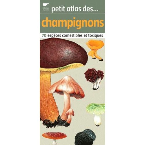 Petit Atlas Des Champignons - 70 Espèces Comestibles Et Toxiques