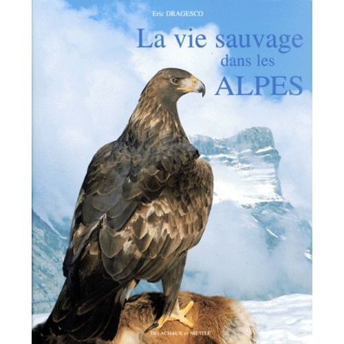 La Vie Sauvage Dans Les Alpes