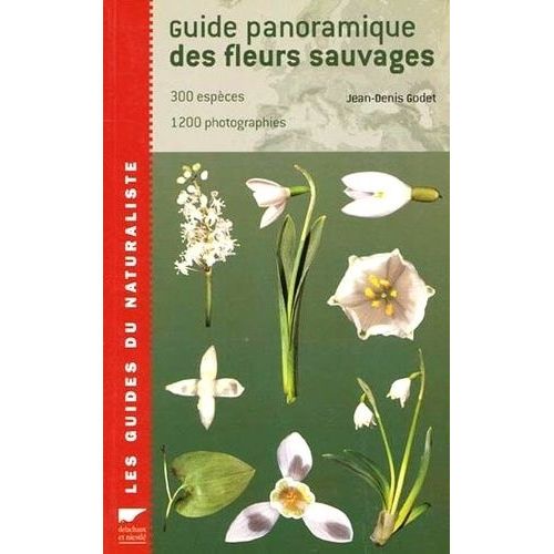 Guide Panoramique Des Fleurs Sauvages - 300 Espèces, 1200 Photographies