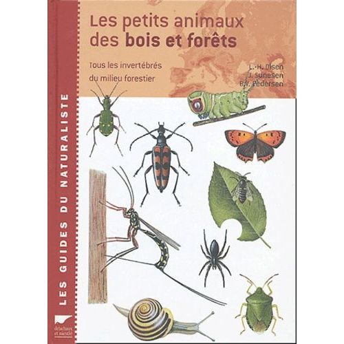 Les Petits Animaux Des Bois Et Forêts - Tous Les Invertébrés Du Milieu Forestier