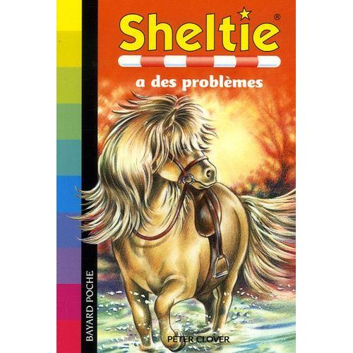 Sheltie - Sheltie A Des Problèmes
