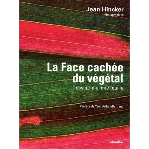 La Face Cachée Du Végétal - Dessine-Moi Une Feuille