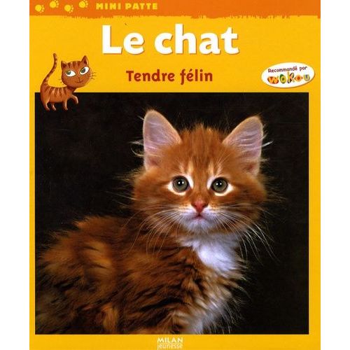 Le Chat - Tendre Félin