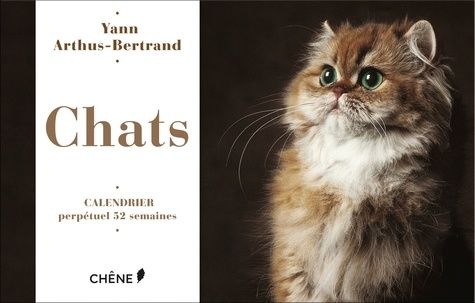 Calendrier Perpetuel Chats neuf et occasion - Achat pas cher | Rakuten