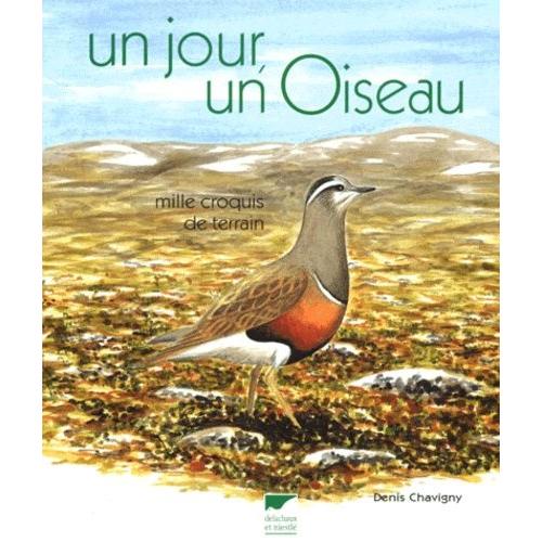 Un Jour, Un Oiseau - Mille Croquis De Terrain