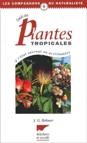 Guide de survie pour plantes tropicales