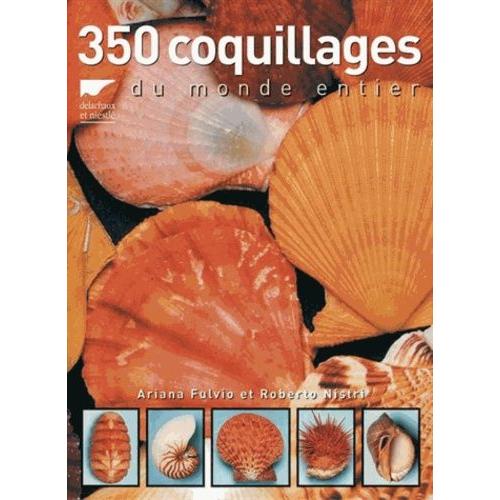 350 Coquillages Du Monde Entier