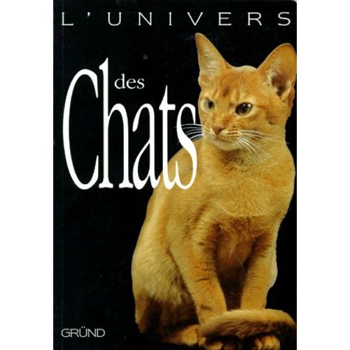 L'univers Des Chats