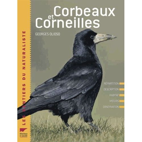 Corbeaux Et Corneilles - Répartition, Description, Habitat, Moeurs, Observation