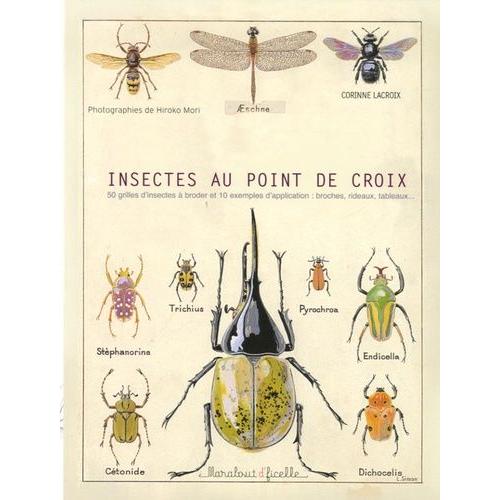 Insectes Au Point De Croix