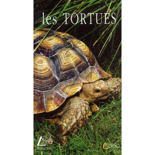 Les Tortues