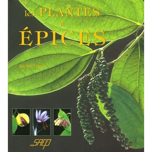 Les Plantes À Épices