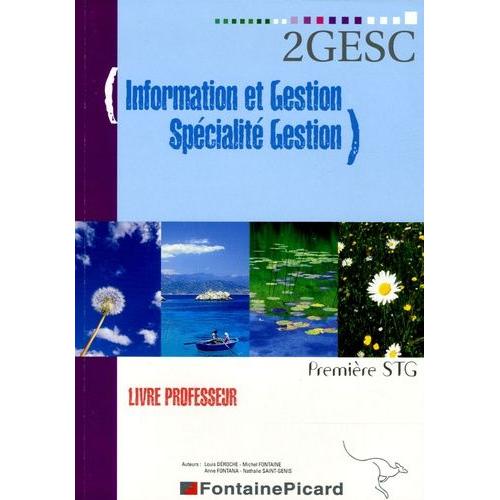 Information Et Gestion 1e Stg Spécialité Gestion - Livre Du Professeur (1 Cd-Rom)