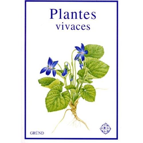 Plantes Vivaces