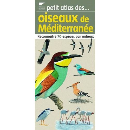 Oiseaux De Méditerranée