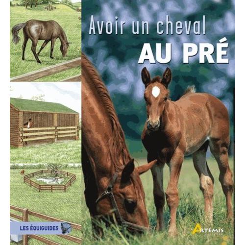 Avoir Un Cheval Au Pré