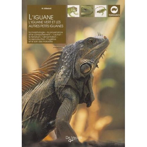 L'iguane