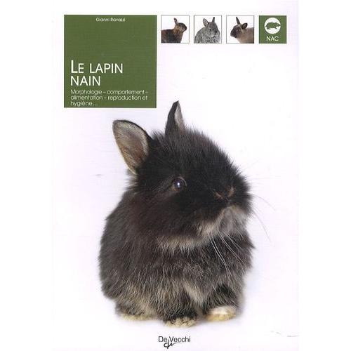 Le Lapin Nain - Morphologie, Comportement, Alimentation, Reproduction Et Hygiène
