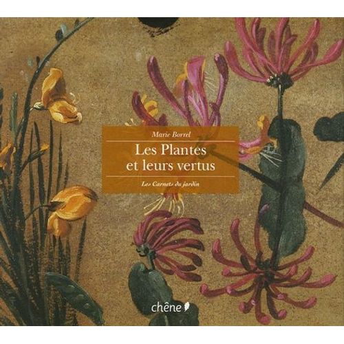 Les Plantes Et Leurs Vertus