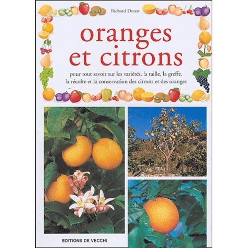 Oranges Et Citrons