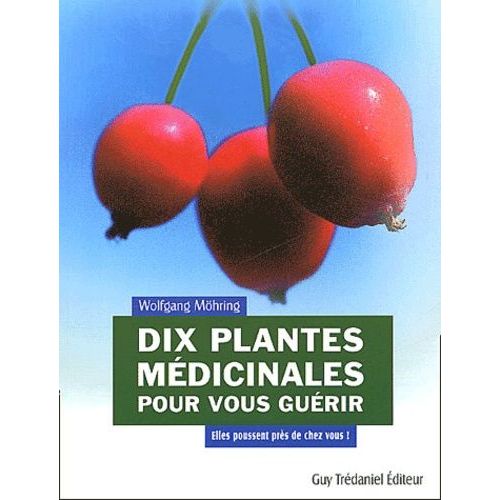Dix Plantes Médicinales Pour Vous Guérir - Elles Poussent Près De Chez Vous !