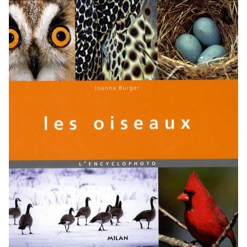 Les Oiseaux - L'encyclophoto