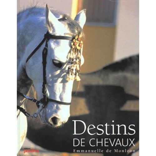 Destins De Chevaux