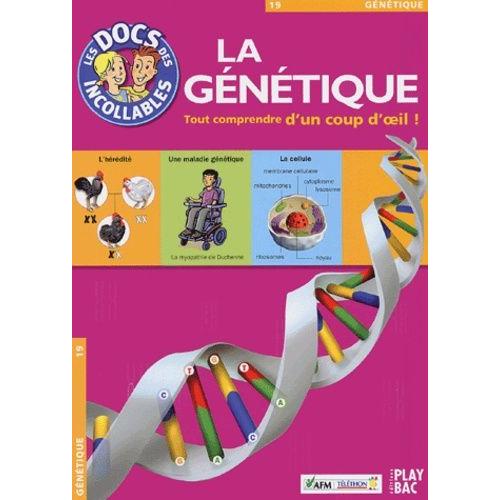 La Génétique - Tout Comprendre D'un Seul Coup D'oeil !