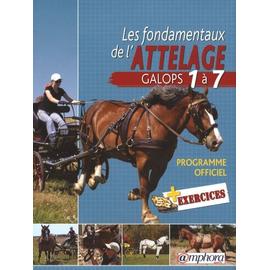 Les Fondamentaux de l'Équitation, Tome 1 : Galops 1 à 4 - Livre de