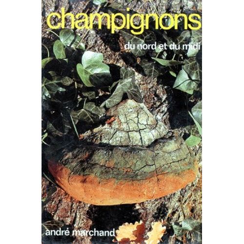 Champignons Du Nord Et Du Midi - Tome 4, Aphyllophorales, Hydnaceae, Gasteromycetes, Ascomycetes
