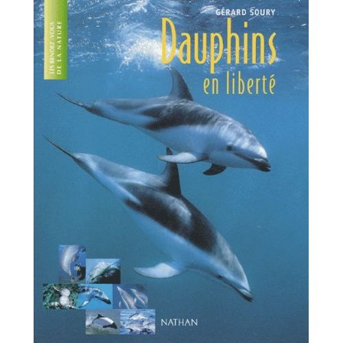 Dauphins En Liberté