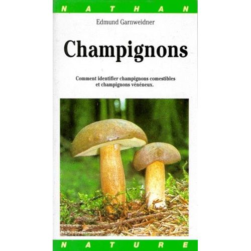 Champignons - Comment Identifier Les Champignons Comestibles Et Les Champignons Vénéneux