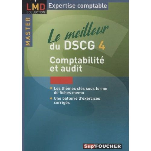 Le Meilleur Du Dscg4 Comptablité Et Audit