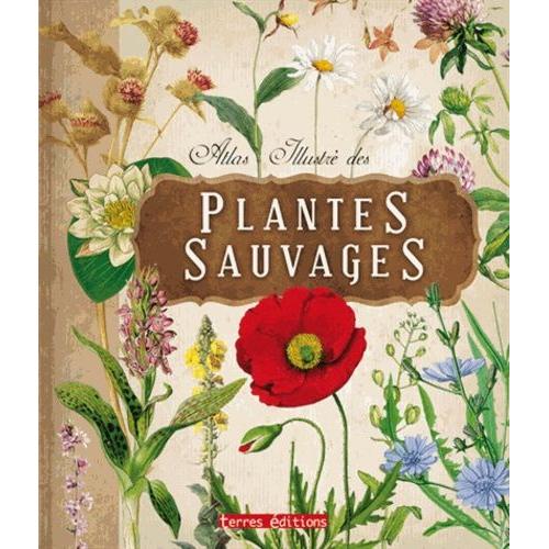 Atlas Illustré Des Plantes Sauvages