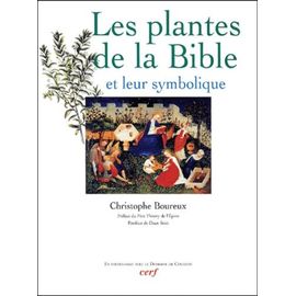 Les Plantes De La Bible Et Leur Symbolique