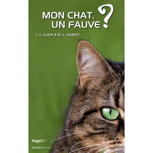 Mon Chat, Un Fauve ?