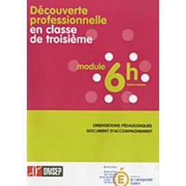 Découverte Professionnelle En Classe De 3e, Module 6h Hebdomadaires - Orientations Pédagogiques, Document D'accompagnement