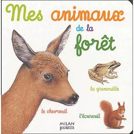  Animaux de la Savane (French Edition): 9782745918161: Catherine  Fichaux: Books