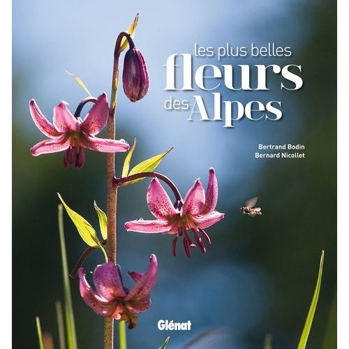 Les Plus Belles Fleurs Des Alpes