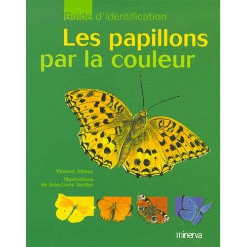 Les Papillons Par La Couleur