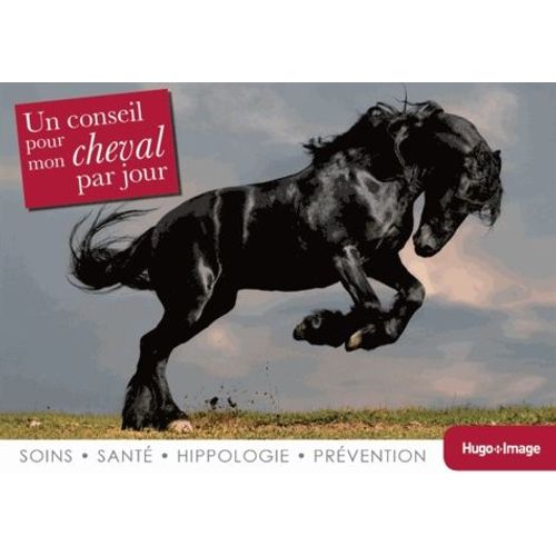 Un Conseil Pour Mon Cheval Par Jour