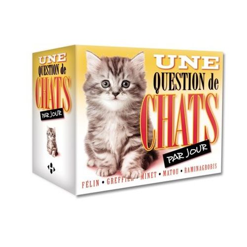 Une Question De Chats Par Jour