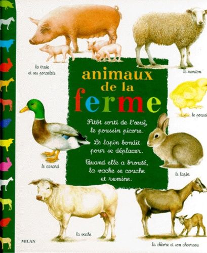 MES ANIMAUX DE LA BANQUISE - Catherine Fichaux 