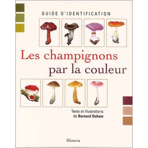 Les Champignons Par La Couleur