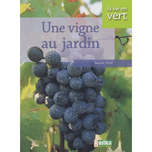Une Vigne Au Jardin