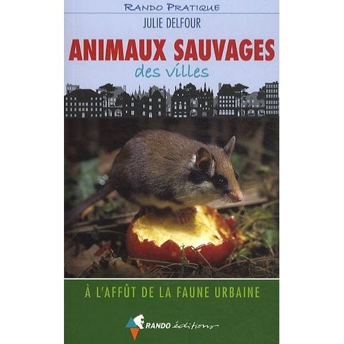 Animaux Sauvages Des Villes