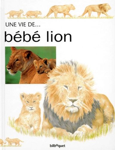 Bebe Lion Enfant Jeunesse Rakuten