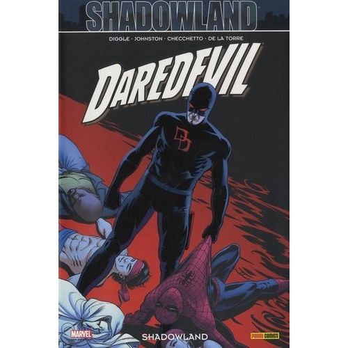 Daredevil Tome 22 - Shadowland